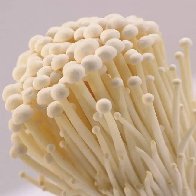 Finc mushroom enoki