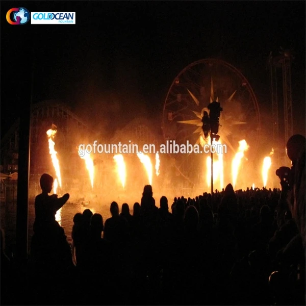 Outdoor Fire Flame Exciting Performance Flame Effect Water Fountain