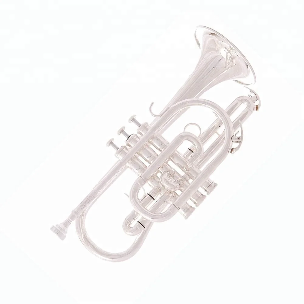 
Accept OEM Dasheng Music DSCR-4435S Chinese Silver Cornet 