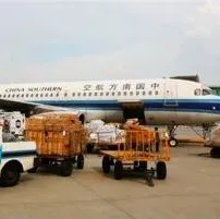 Door to Door sea shipping freight forwarder from China to East Timor Dili/Kon/Maliana/Oecussi Airport