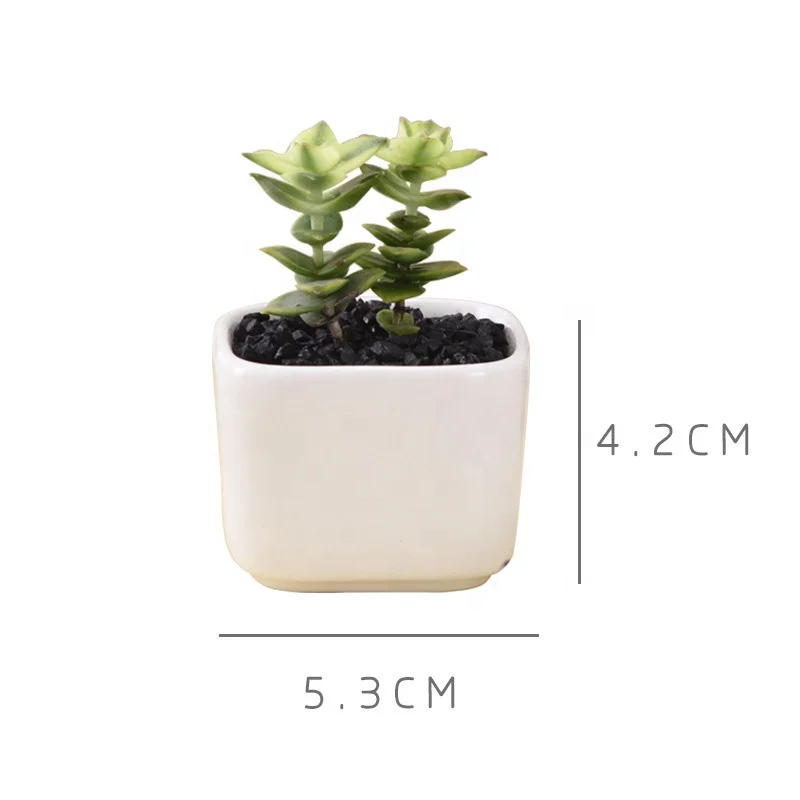 Mini square ceramic fleshy plant flowerpot