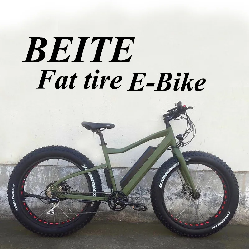 Style Fat Tyre Electric Bike USA Lithium Battery 1:1 48V Rear Hub Motor Aluminum Alloy 15 Kva Lithium Battery for Solar System
