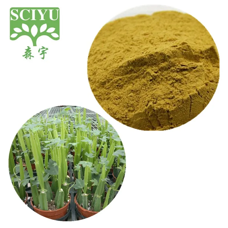 cissus quadrangularis extract 20:1