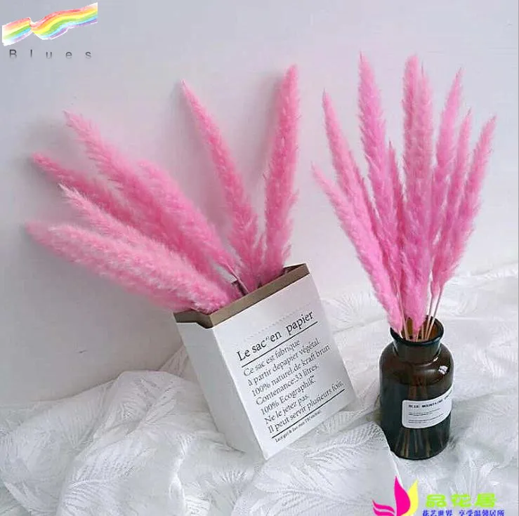 High Quality Dried Small Pampas Reed Grass Phragmites Wedding Home Decor Flower Bouquet Set of 15pcs