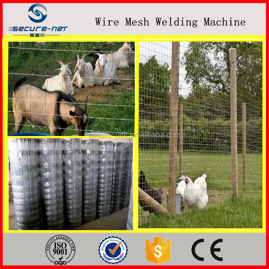 Лучшая цена высокая скорость фермы станок-автомат для производства ограждение