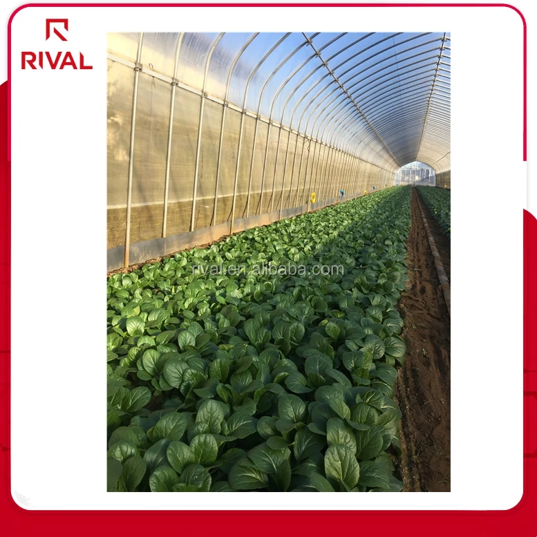 Фабрика по изготовлению синий фильм последние синий пленка для парниковых