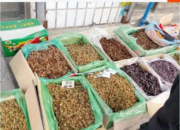 
Factory Price Iran Raisin Wholesale Raisin Black Raisin From Uzbekistan 