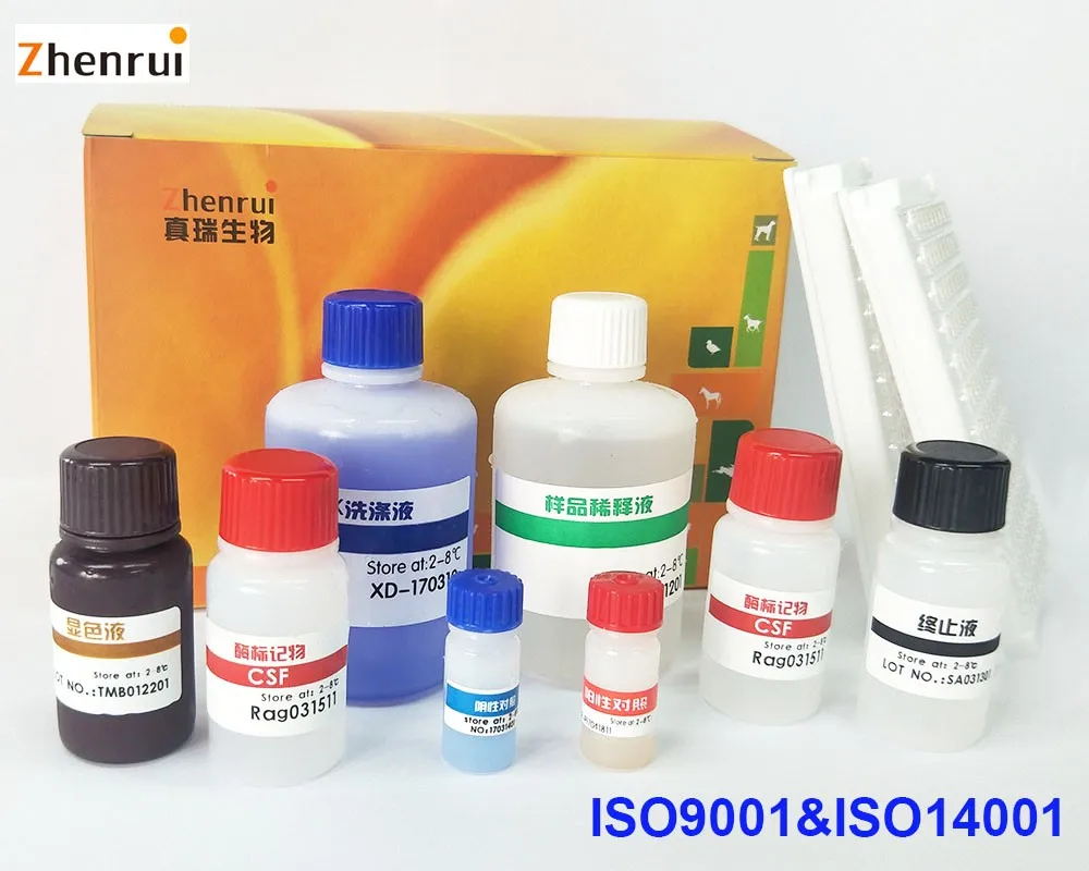 Veterinary equipment Brucellosis antibody ELISA Test Bovine sheep brucella Elisa Kit