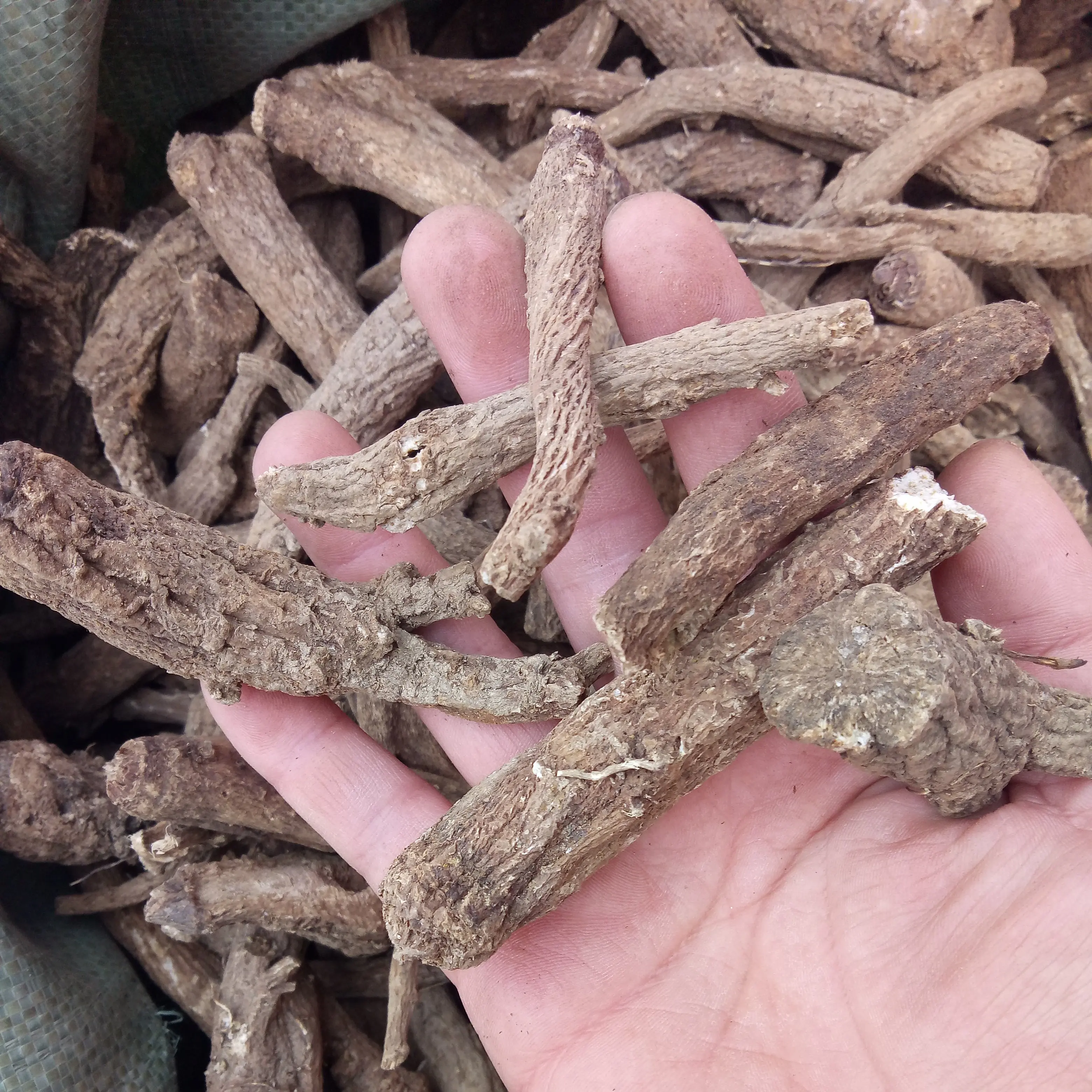 
Natural dried big size low pesticide Costus Roots for sale 