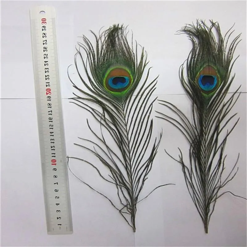 Прямая продажа с завода, точечная поставка, высокое качество, перо павлина