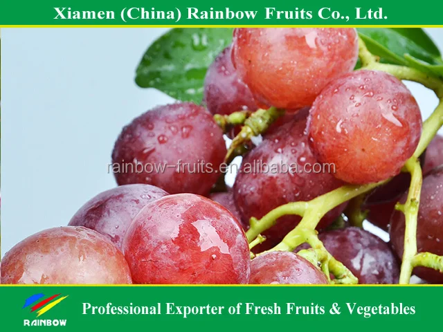 
Fresh Chinese Red Grape for Indonesia & Malaysia & Pilipina & Thailand market 