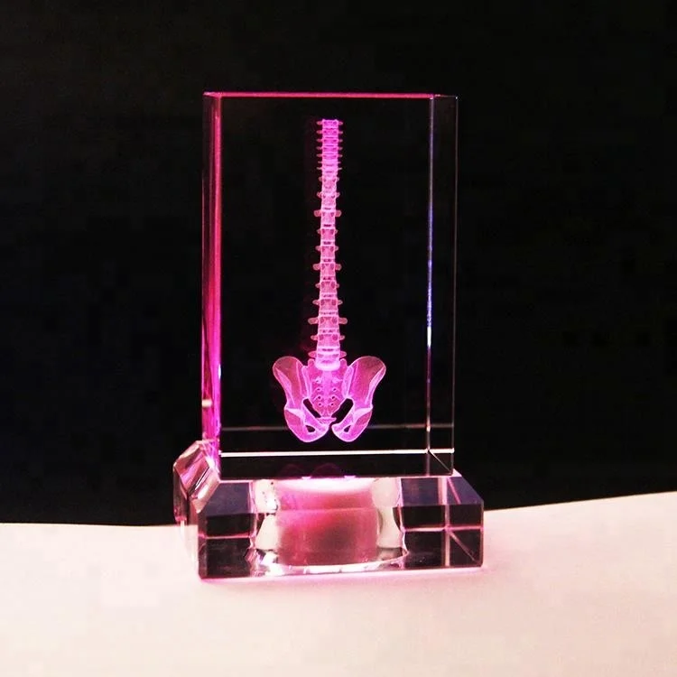 
Wholesale 3D engraving Spine models as crystal gift 