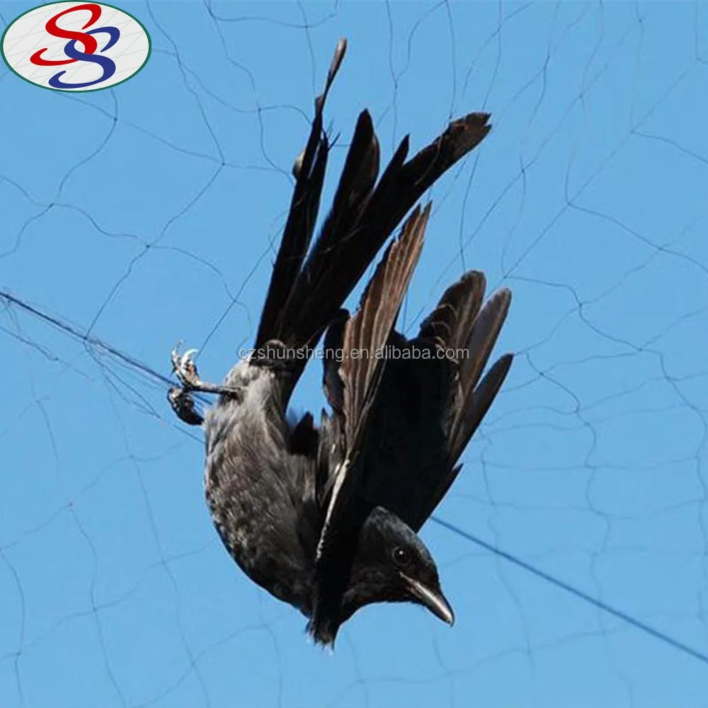 how to make a bird net trap for fruit trees