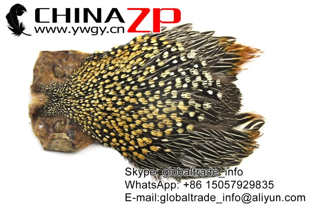 
ZPDECOR Wholesale in Stock Top Grade Natural Gold Jungle Cock Cape Complete Pelt with Feathers 