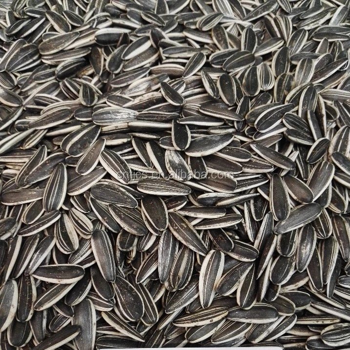 
chinese high quality sunflower seeds 601 