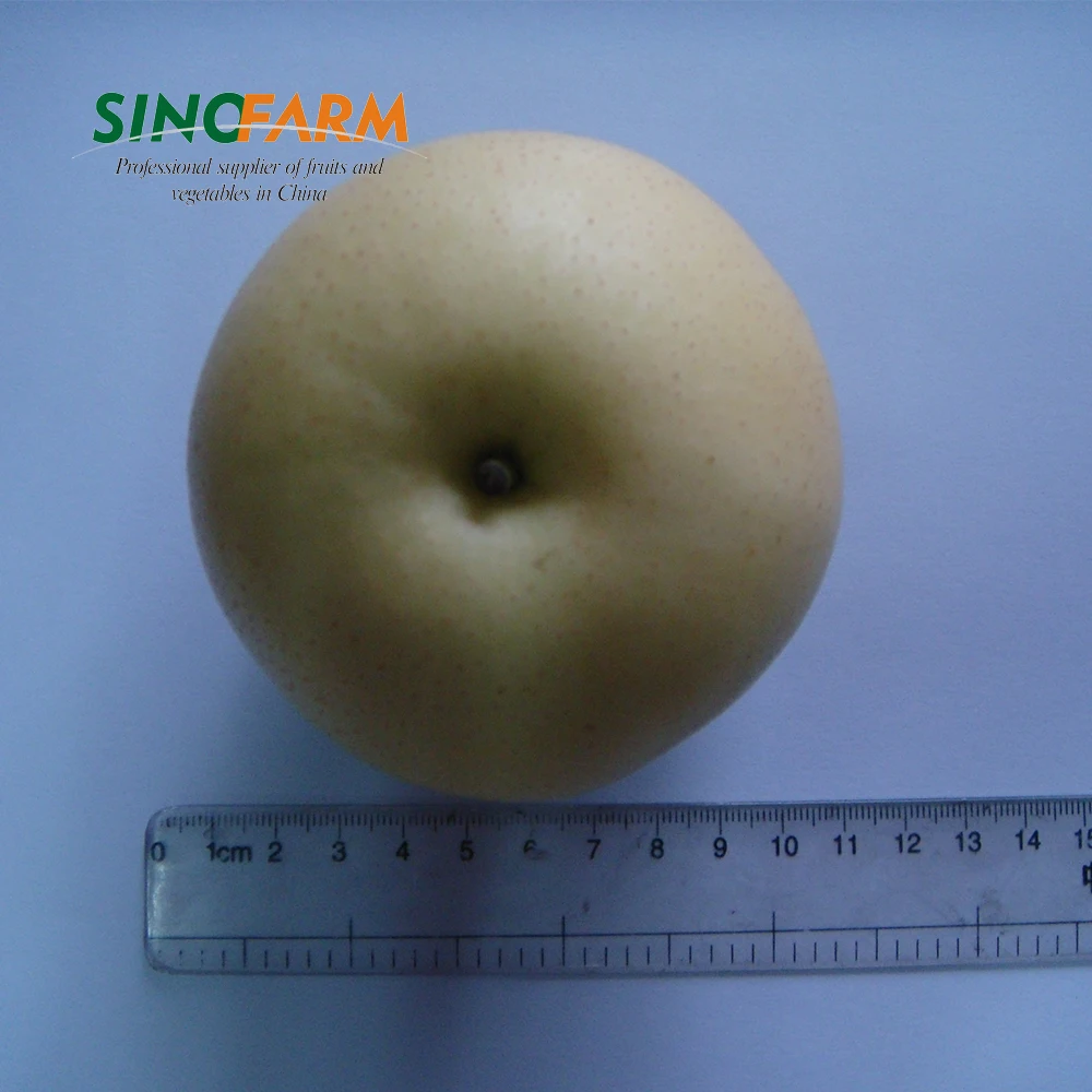 New crop nashi fragrant pear for european marktet