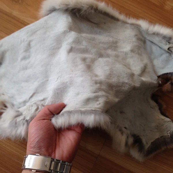 Factory wholesale  dyed color tanned large rabbit fur skin