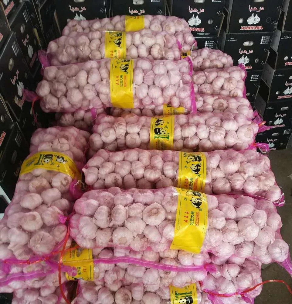 original garlic from china