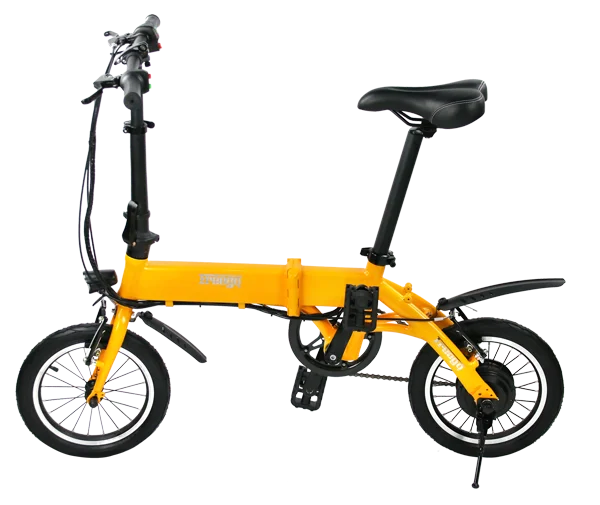 EcoRider Two Wheel Electric Chariot Golf Scooter