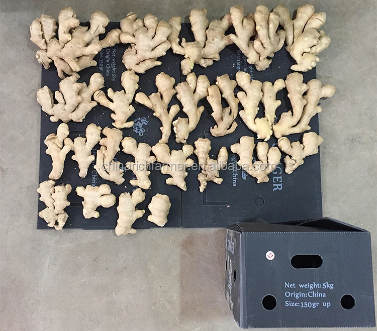 250g Chinese Air Dried Ginger