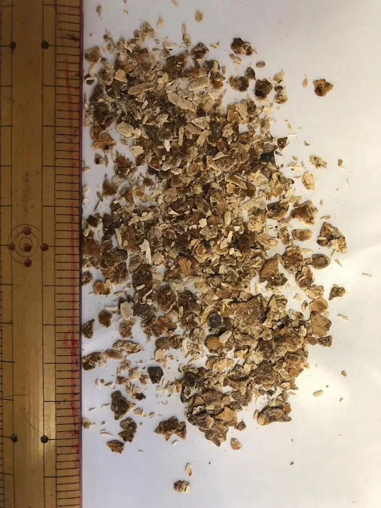 
Longevity secret Japanese dry mushroom extract powder for immune function 