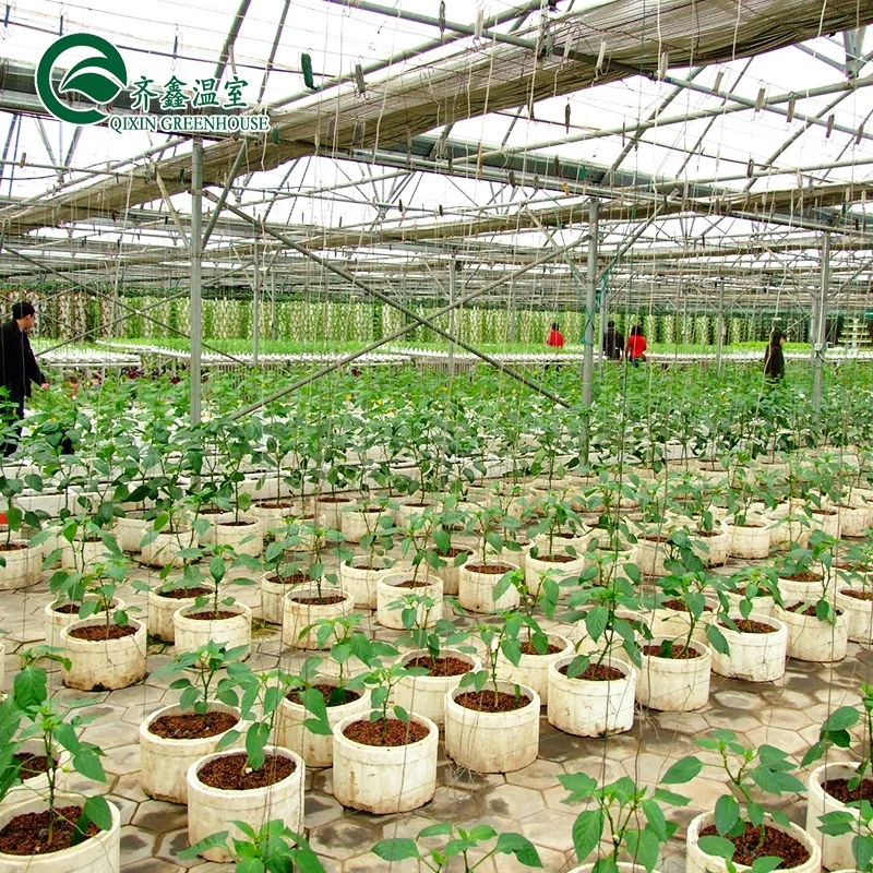 High quality hydroponics fodder growing systems pc sheet green house
