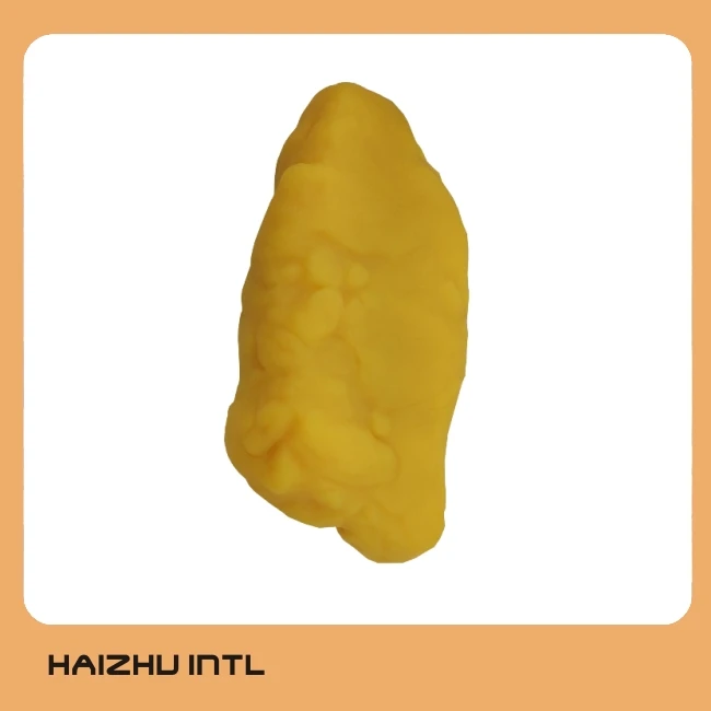 1KG Fat Model, Human Body Fat Anatomical Model for Education