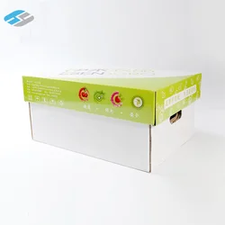 China corrugated fruit export carton recyclable fresh fruit packing box