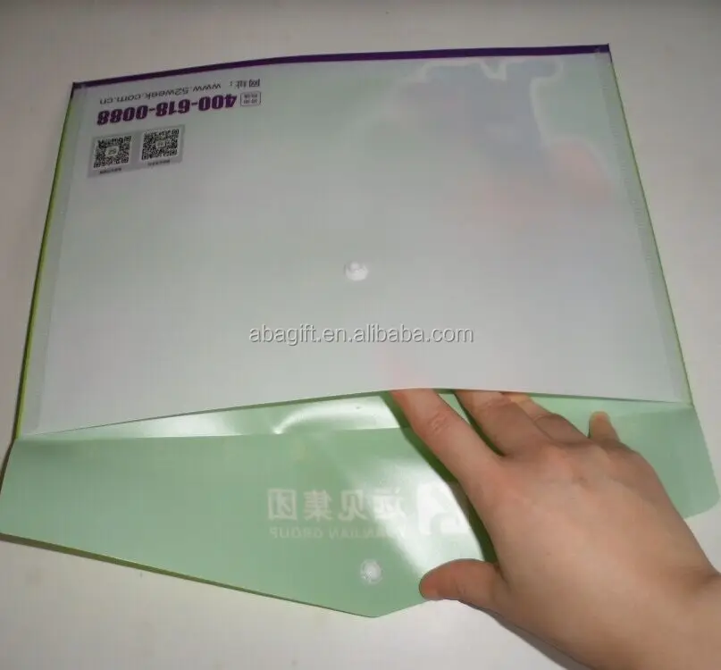 Clear Vinyl A4 file folder