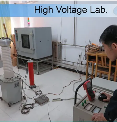 25W 250 Ohm  HV High Voltage  Shunt Resistor With Lead Mould For Electrostatic