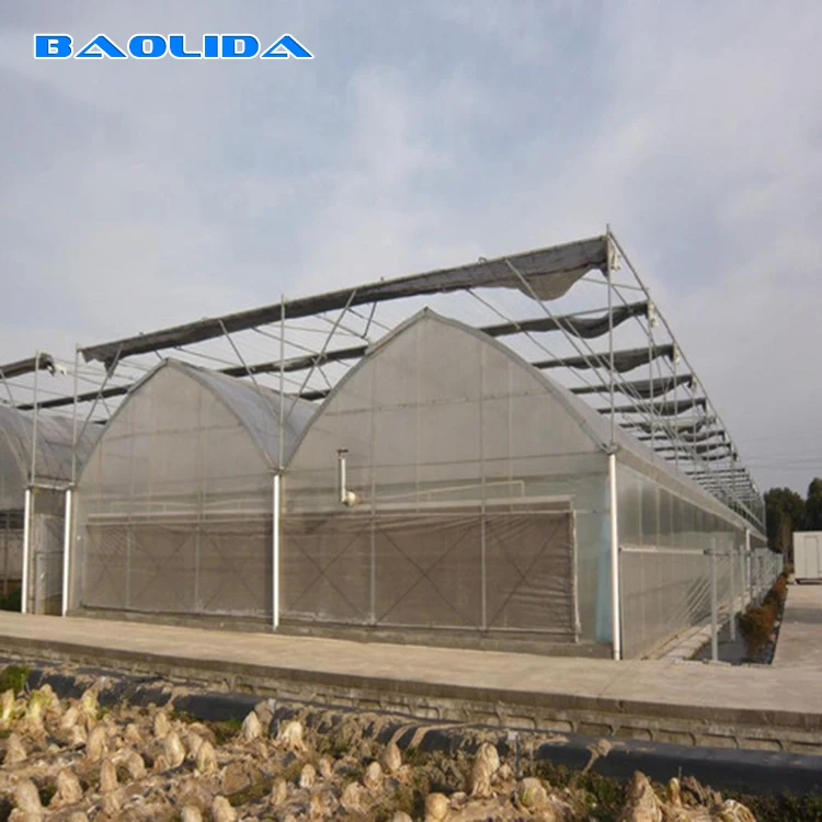 Climate Control System Intelligent High Quality Greenhouse