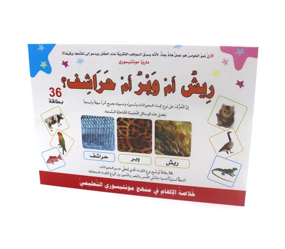 
Customized 2019 New Montessori Cards Set 