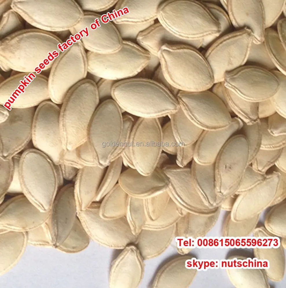 Shine Skin Pumpkin Seeds10 mm 11mm 10 cm up 11 cm up