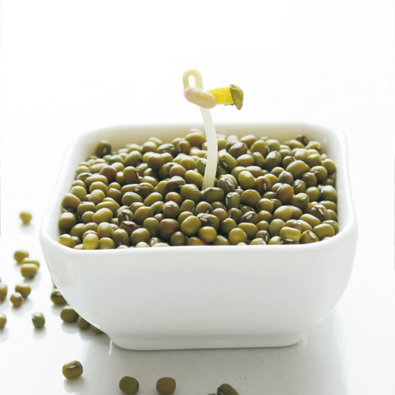 Factory Wholesale High Quality Green Mung Beans For Sprouting