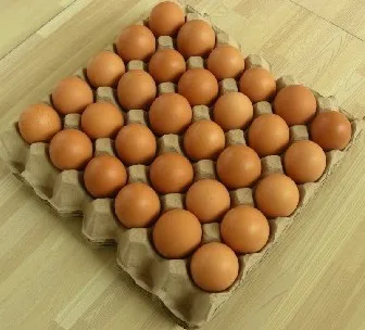 Egg Tray Pulp Packaging