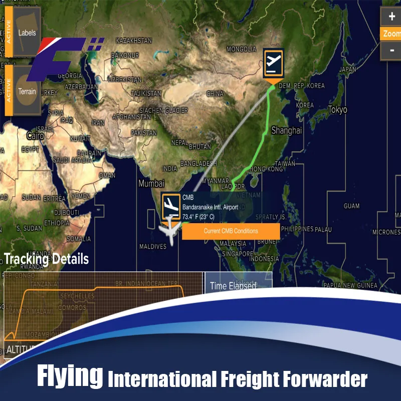 Trustworthy and reliable shenzhen shipping service to worldwide