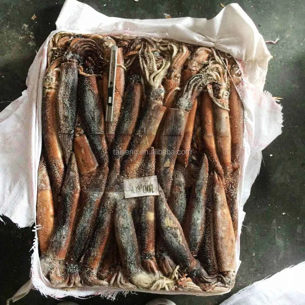 Frozen Illex Squid Under 100g