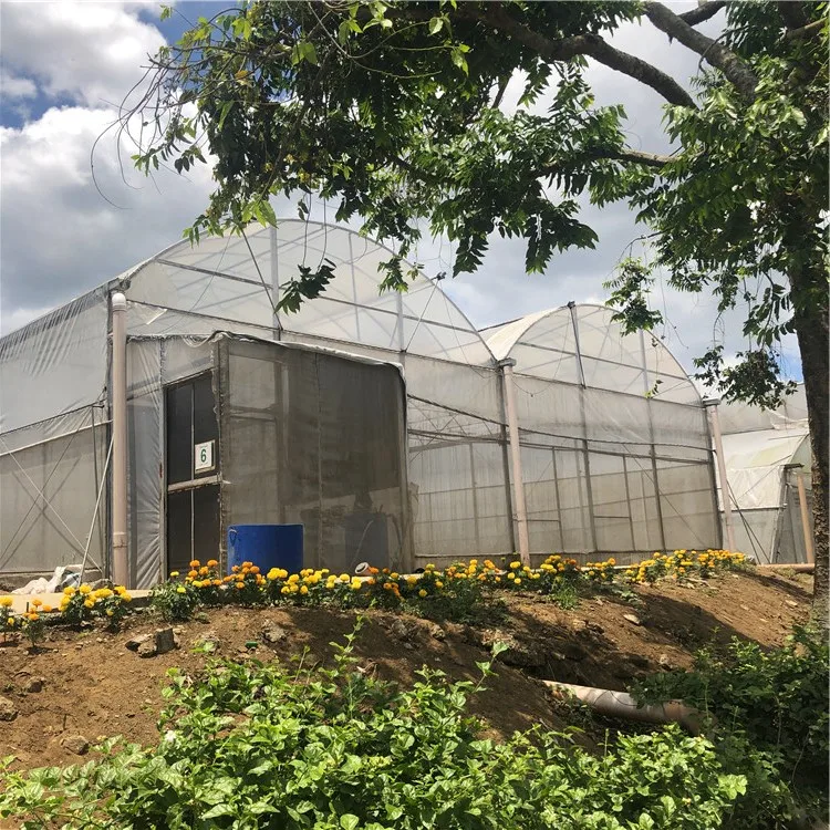 greenhouse agricultural hydroponic greenhouse systems greenhouse manufacturing