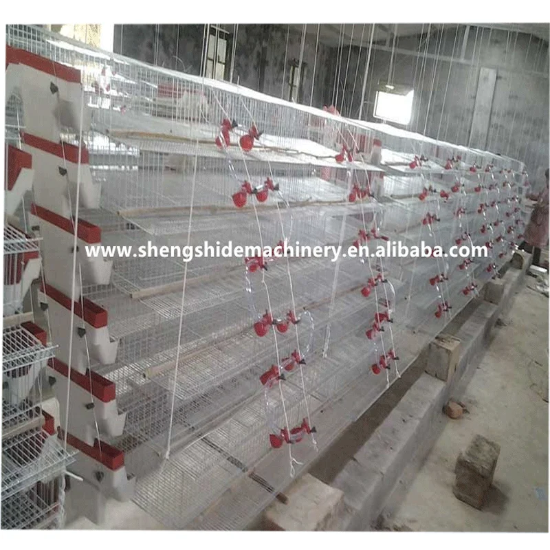 The superior fancy chicken cages for poultry farm