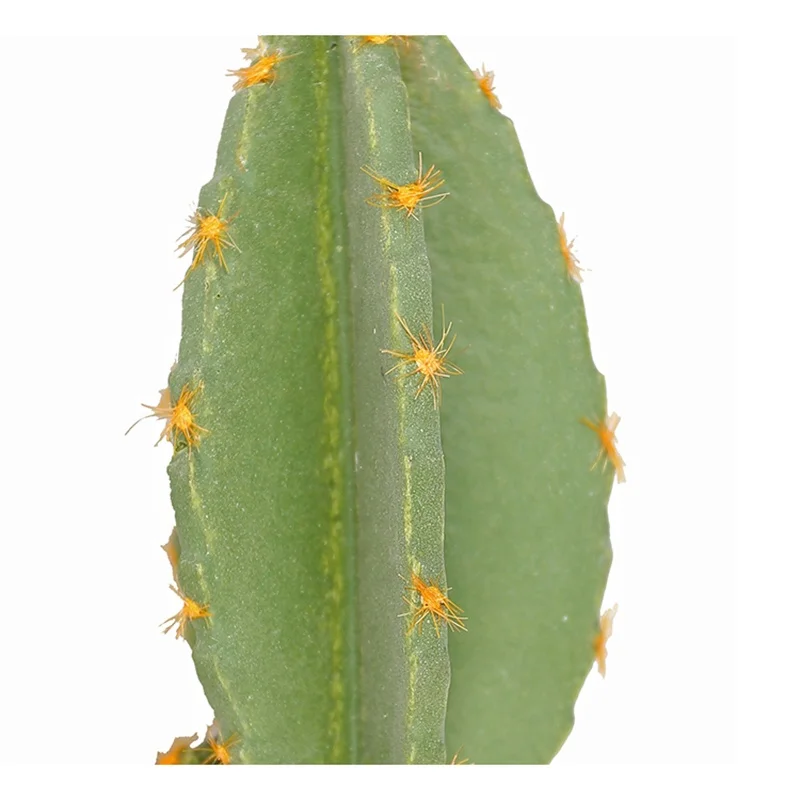 Home decoration cheap best selling artificial cactus potted 23 cm mini green decorative plants