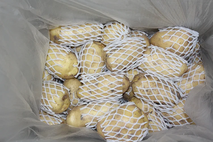 
Price of Fresh Holland Potato Yellow Potatoes export to Sri Lanka 