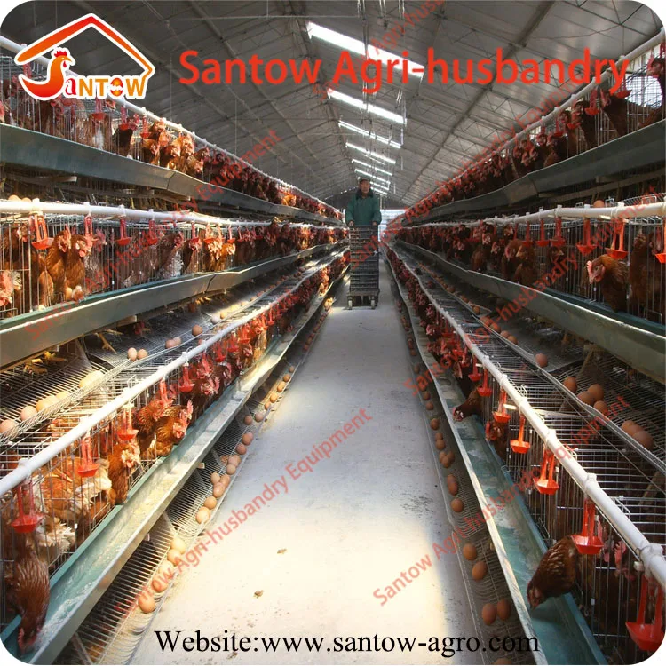 Pakistan Libya Turkey poultry farm layer cage chicken layer poultry designs