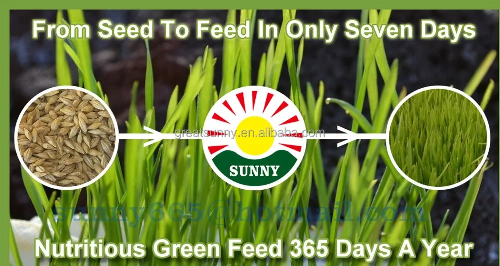 Cow /sheep /Cattle hydroponic fodder systems for sale