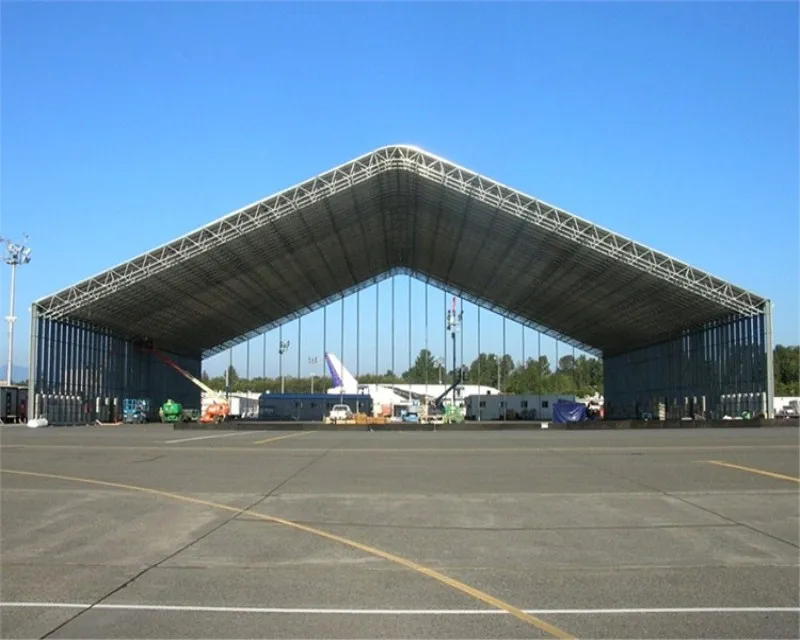 Long Span Curved Roof Steel Shed Airport Hangar Large Span Steel Truss Roof
