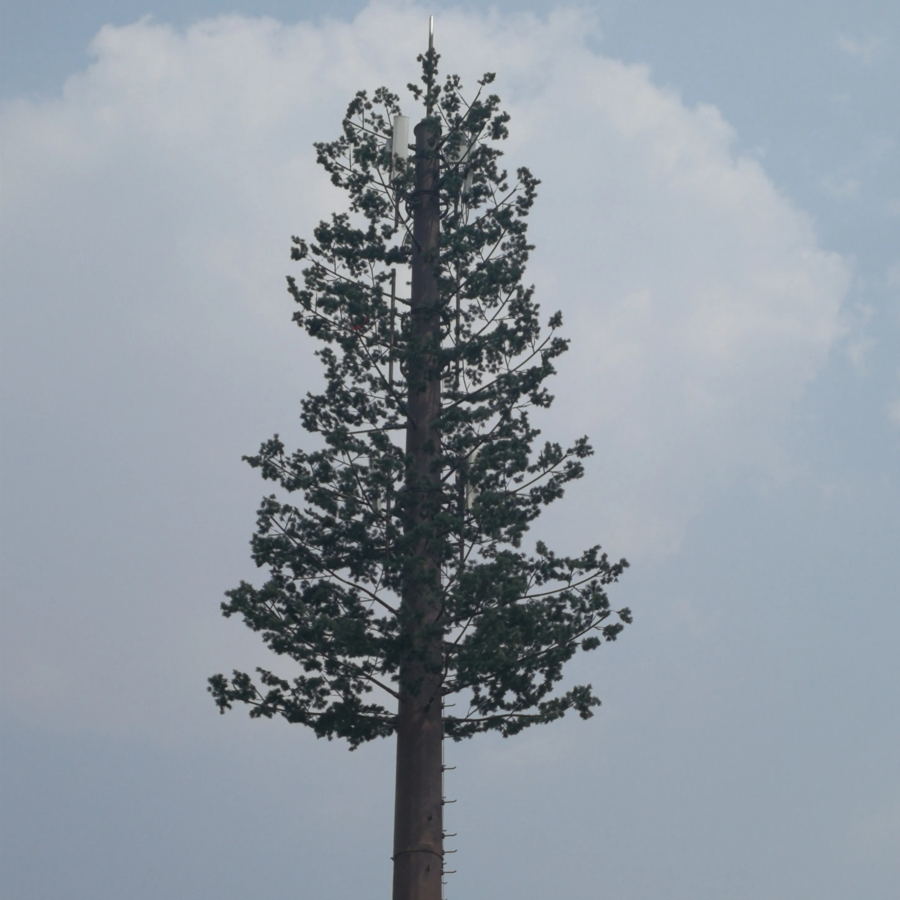 Оцинкованная стальная трубка, замаскированная башня деревьев, сигнальная башня телекоммуникации, сделано в Китае
