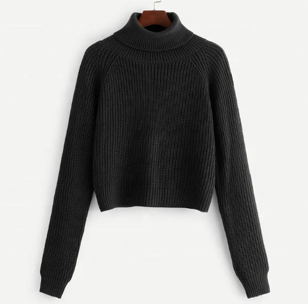 
Turtleneck Raglan Sleeve Jumper Fall Winter Tops For Womens Knitted Sweater 