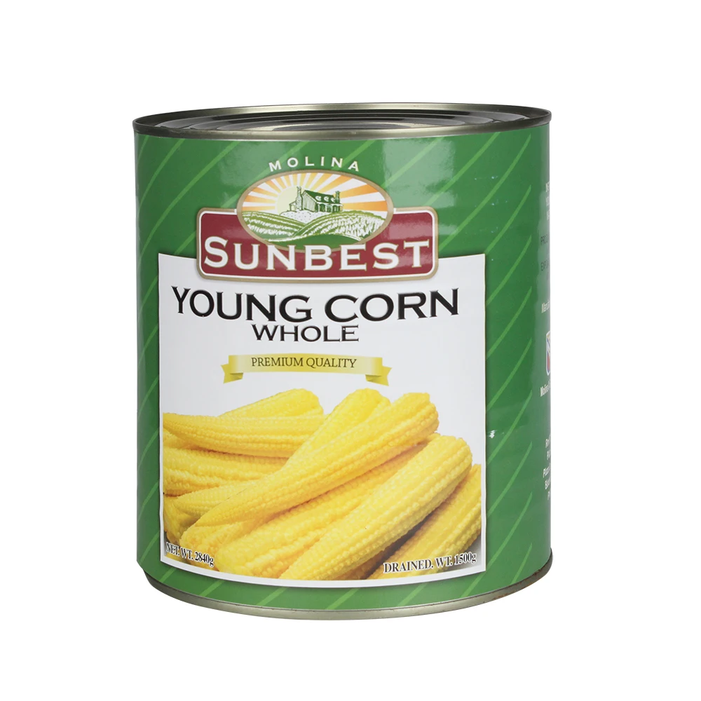Canned baby corn factory price for export