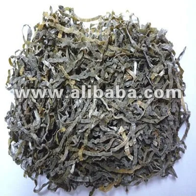 
Sun dried laminaria cut,dried cut kelp,shredded laminaria 