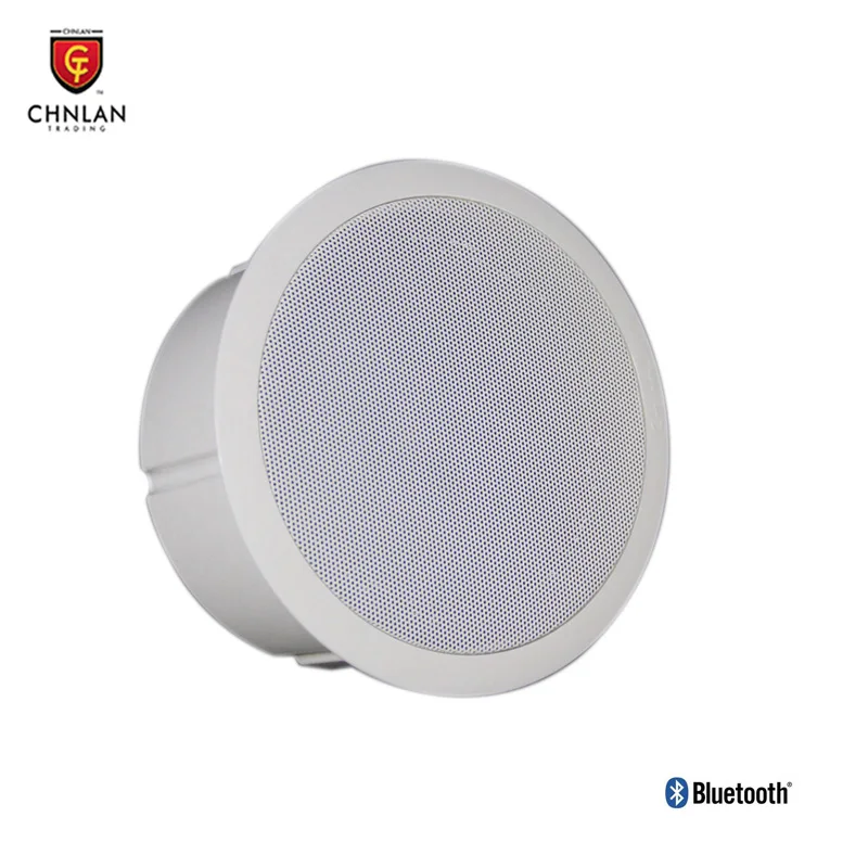 Portable Active Type Amplifier 2*10W 8ohm Wireless Bluetooth Ceiling Speakers