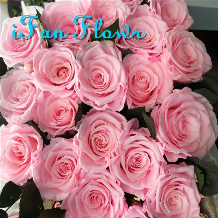 Hot new crazy selling eternal flowers preserved rose in acrylic gift box